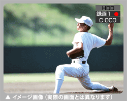 イメージ画像(実際の画像とは異なります)