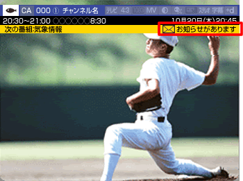 テレビ画面