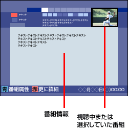 詳細情報