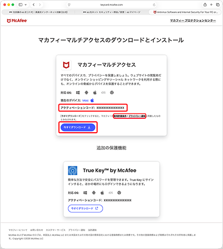 〔マカフィーの使用許諾条件〕と〔プライバシー通知〕を確認の上、〔今すぐダウンロード〕をクリックします。