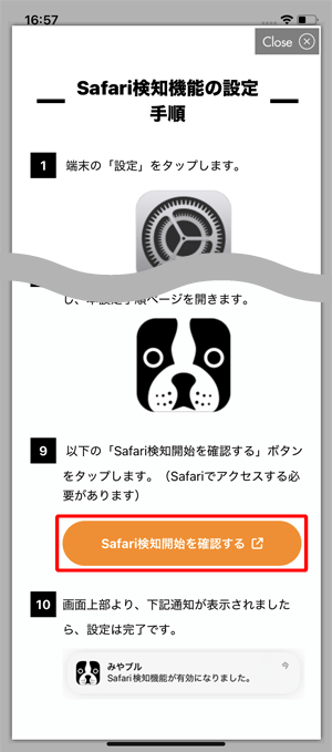 〔Safari検知機能を確認する〕欄をタップします。