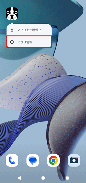 〔アプリ情報〕をタップします。