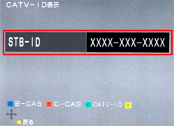 〔STB-ID〕が表示されます